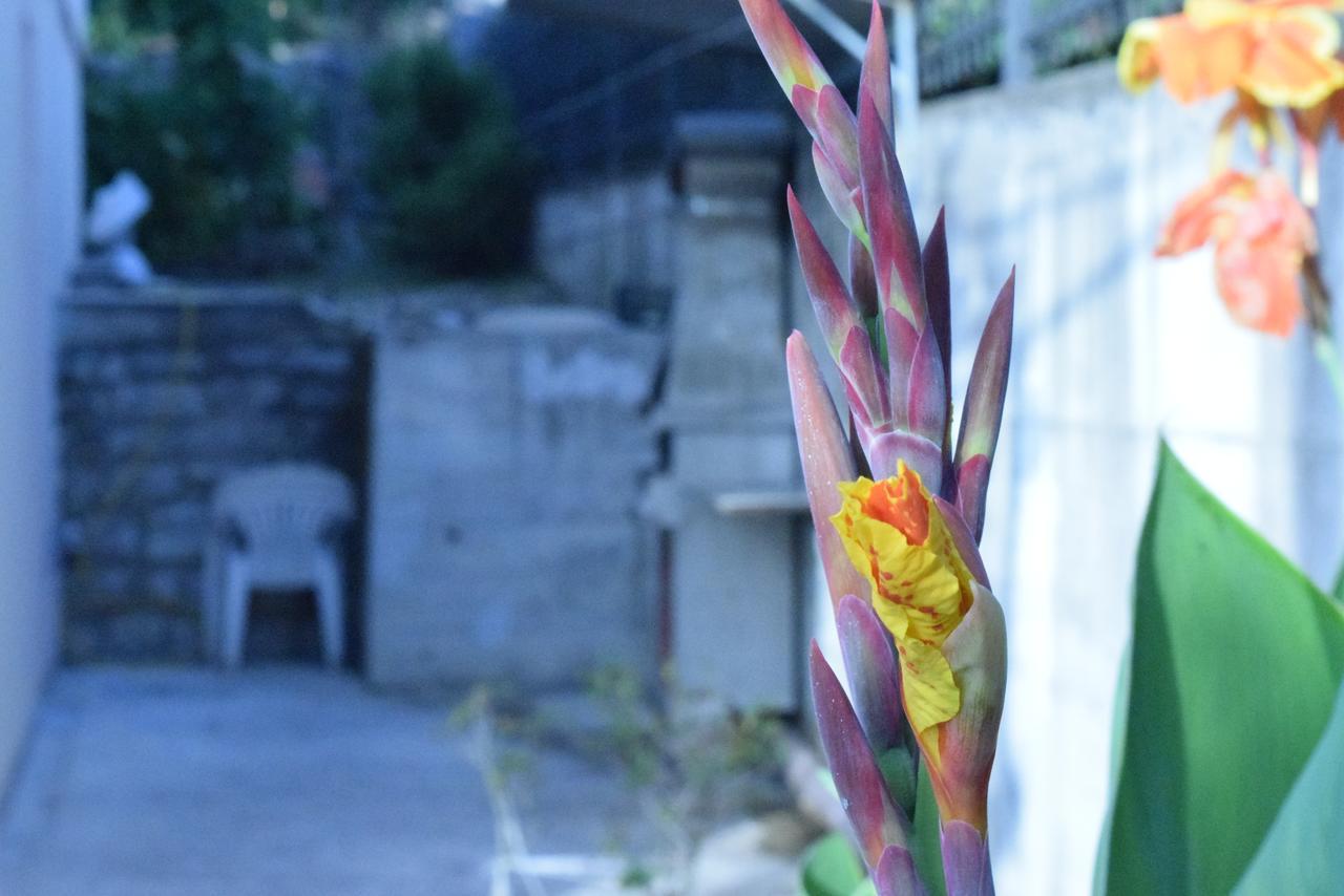 Apartment S&M ติวัต ภายนอก รูปภาพ